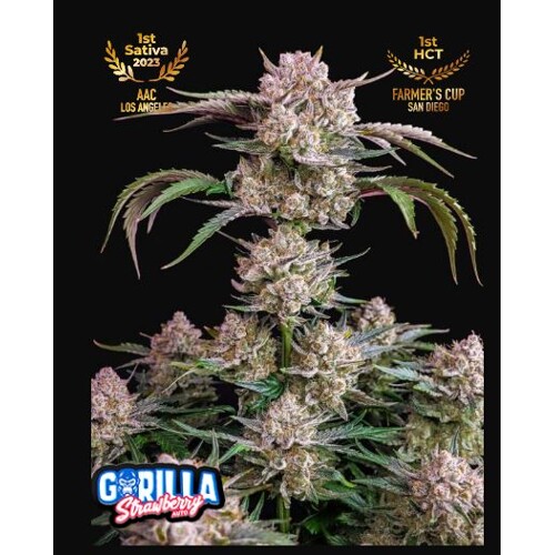 Fast Buds Strawberry Gorilla 10 Seeds