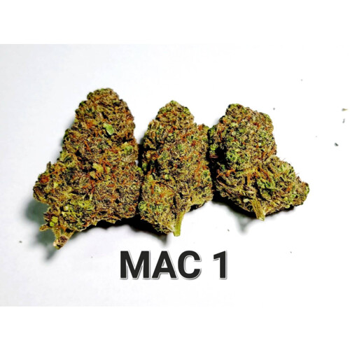 Growers Choice MAC1 auto 3 pcs