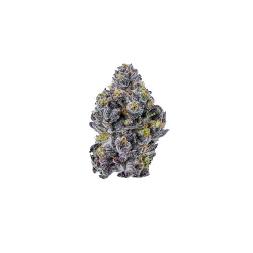 Growers Choice Sticky Wasabi 10 pcs