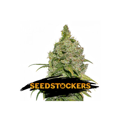 Seedstockers Do Si Dos 5 pcs