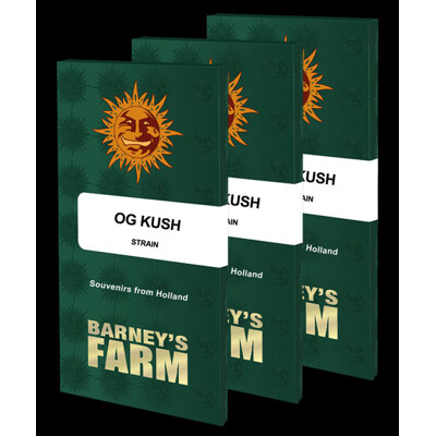 Barneys Farm OG Kush ab 31,5€