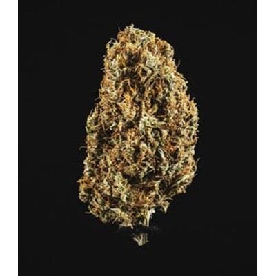 Royal Queen Seeds North Thunderfuck auto 10 pcs