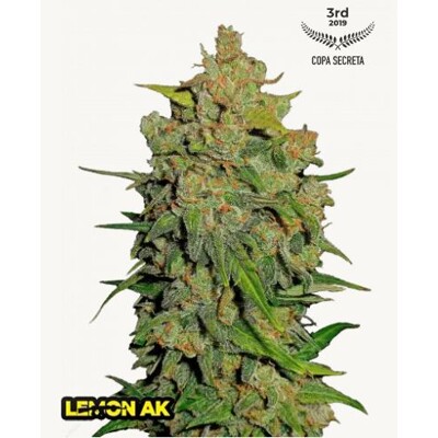 FastBuds Lemon AK 5 pcs