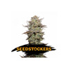 Seedstockers Sticky Fingers Autoflower 5 pcs