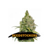 Seedstockers Do Si Dos from 27,- € (Choose packaging!)