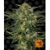 Barney's Farm LSD 3 seeds