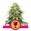 Royal Queen Seeds Critical 3 seeds