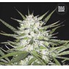 Bulk Seed Bank Early Top Skunk 10 seeds