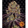 Barney's Farm Runtz x Layer Cake Fem 3 seeds