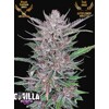 FastBuds Gorilla Punch Auto 10 seeds