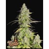 FastBuds Girl Scout Cookies  5 seeds