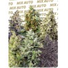 FastBuds Mix Pack Auto 5 seeds