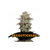 Seedstockers Sticky Fingers Autoflower from 39,95,- €